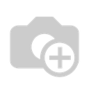 Caribe Media Inc.